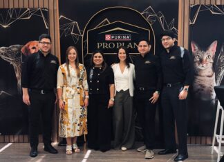 Dermatitis atópica en perros: cómo detectarla y prevenirla con una buena alimentación