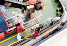 Identifican cepa andina de hantavirus que se transmite entre humanos en el brote mortal del crucero que zarpó de Argentina