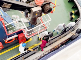Identifican cepa andina de hantavirus que se transmite entre humanos en el brote mortal del crucero que zarpó de Argentina